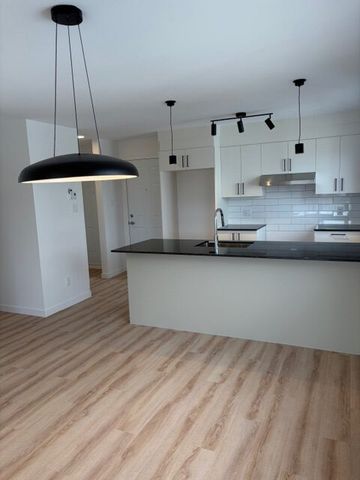 544 Rue Saint-Michel, Sherbrooke, (Vacant) QC J1E 2L1 - Photo 4