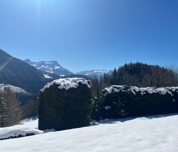 Superbe chalet meublé à louer saison estivale et hivernale - Photo 3