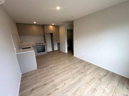 Brand new unit in Hanley's Farm - Photo 3