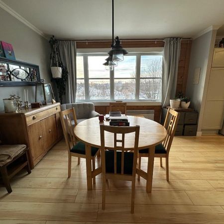 Grand 4 1/2 (duplex tranquille) - Photo 3