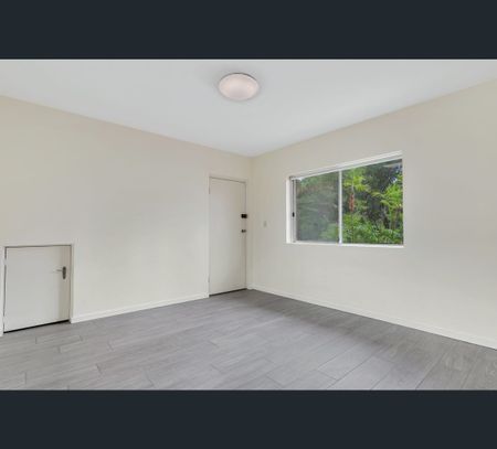3/1a Hegarty Street, Glebe, NSW 2037 - Photo 3