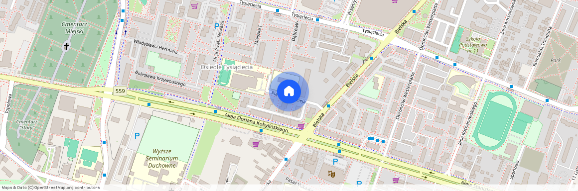 ul. Piasta Kołodzieja, Płock, mazowieckie