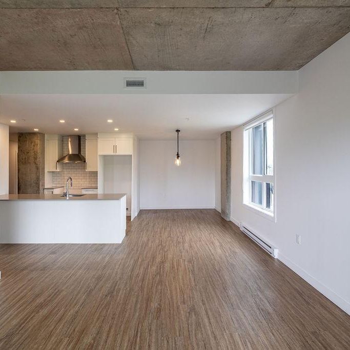 6 1/2 + en COIN - Bureau - Lévis centre-ville - Photo 1