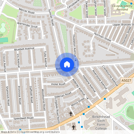 Bidston Avenue, Wirral CH41