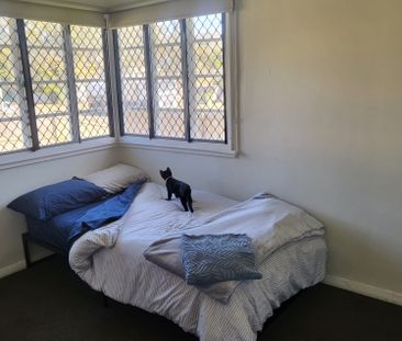 Logan Central - Photo 3