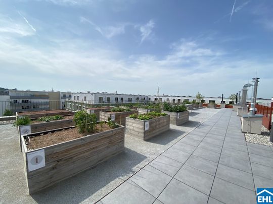 Urbanes Wohnen im Grünen: Entdecken Sie Ihr neues Zuhause im Tullnerfeld - Foto 1