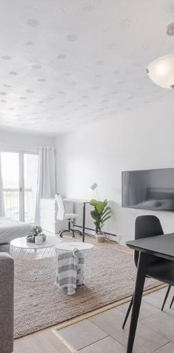 Loft entièrement meublé à louer Sainte-Foy / Sillery décembre 2025 - Photo 1