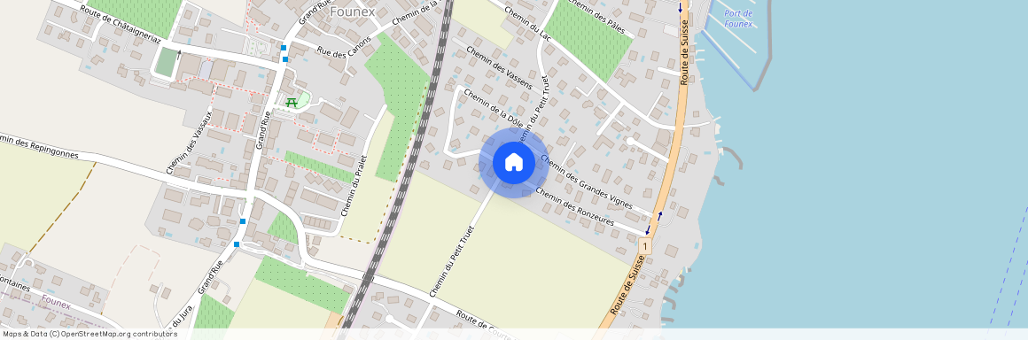 - FOUNEX -, 1297 Founex