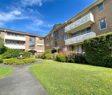 7/36 Disraeli Street, Kew - Photo 5