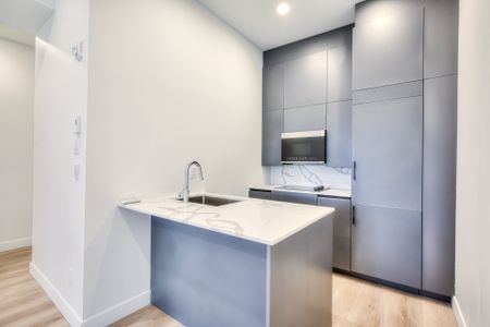 211 Av. du Mont-Royal O. #102 - Photo 4