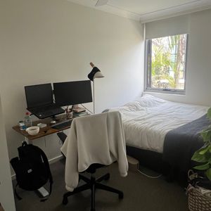 Manly - Photo 2