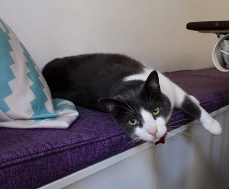 Bondi Junction - Photo 2