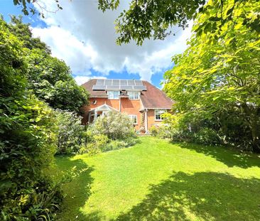 3 bedroom detached house to rent - Photo 6