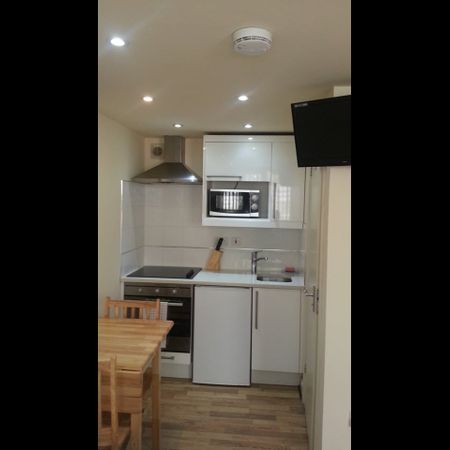 Studio Flat, Ash Grove, NW2 - Photo 3