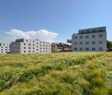 Nouveau - Bâtiment neuf - Bodelenweg - Location sans caution - Photo 3