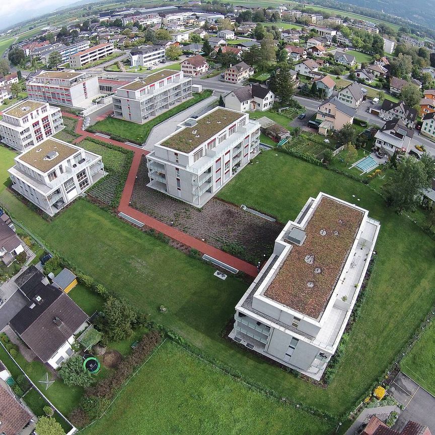 Attika-Wohnung mit viel Platz! - Foto 1