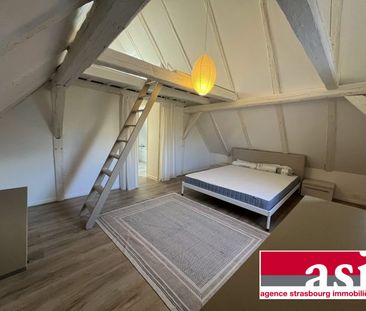 Robertsau : 3 Pièces Meublé Jardiniers - Photo 3