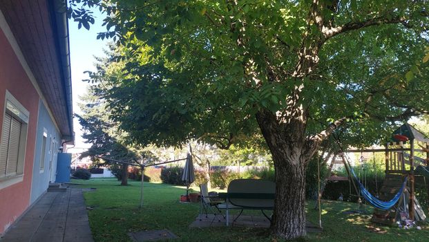 Herzige Wohnung im Grünen - Waltendorf - Photo 1