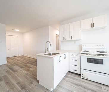 2-1/2 - 8281 Avenue Des Vendéens, Anjou - Photo 2