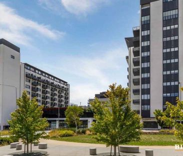 One Bedroom Apartment Moments Away From Woden Center - Photo 4