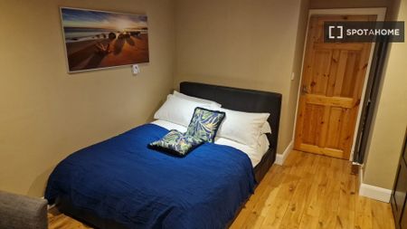 Studio apartment in Dublin - Photo 4