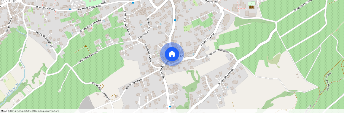 1965 Roumaz (Savièse)