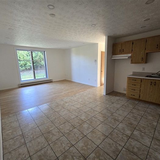 2080-310 rue Gauthier 1050$ Vacant - Photo 1