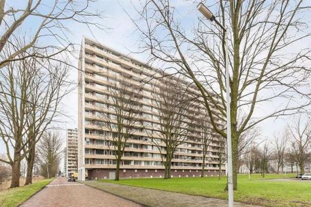 Langswater 1069 Amsterdam - Photo 1