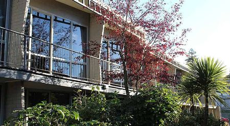 Executive rooms close to town for rent! - Photo 4