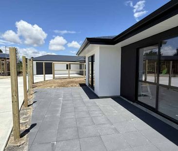 Brand New Living Near the Lake - Photo 3