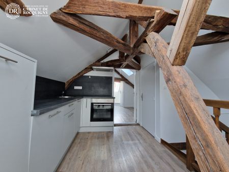 Location Appartement 2 pièces 58m² ORLEANS 45000 - Photo 2