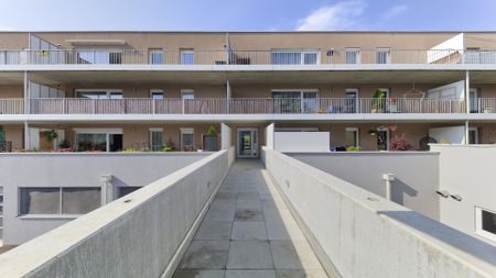 PRESSBAUM XIII/1 - Photo 3