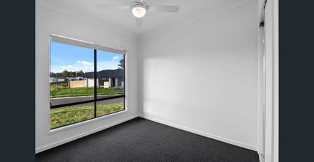 Welcome to 41 Tulip Tree Street, Park Ridge - $680 per week - Photo 5