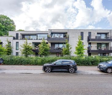 Kapellensteenweg 398/3, 2920 Kalmthout - Photo 6