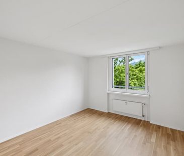 "Entdecken Sie unsere neu sanierten Wohnungen - Erstbezug ab April ... - Photo 3