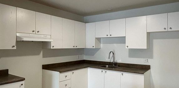 1 CH - 1 SDB - Saint-Charles-Borromée - $1,249 /mo - Photo 2