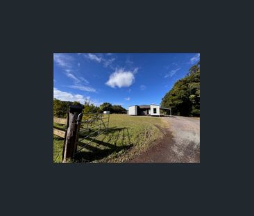 Charming Acreage Living – 3 Bedroom, 2 Bathroom Home Between Coolum... - Photo 5