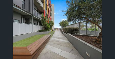 Centrally Located Two Bedroom Apartment With Two Spacious Balconies! - Photo 5