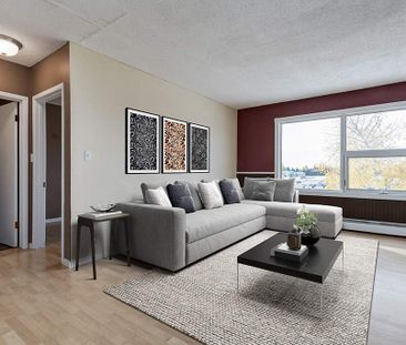 1 Bedroom - Photo 4