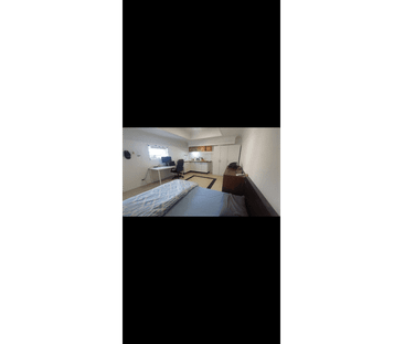 $420 granny flat - studio in Walking distance to Wollongong University - Photo 4