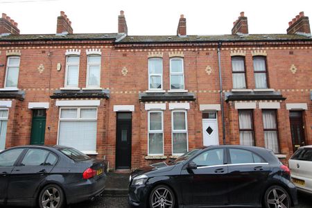 20 Meadowbank Place, Belfast BT9 7FF - Photo 3