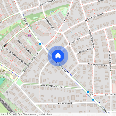 Alte Allee 68, 81245 München - Pasing-Obermenzing