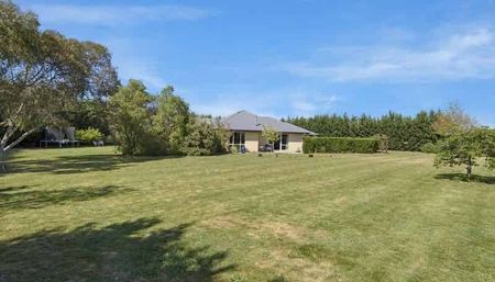 Large Family Home - Photo 4