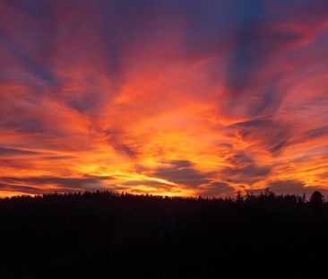 Charmante 3.5-Zimmer im Grünen mit Waldblick - Photo 3