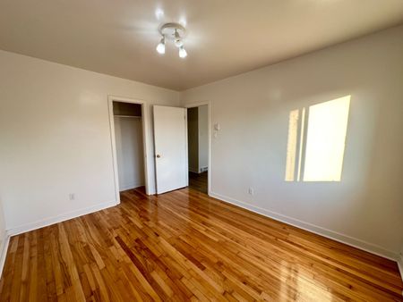 7244 Rue Chabot, Montréal (Villeray/Saint-Michel/Parc-Extension), H2E2K8 - Photo 3