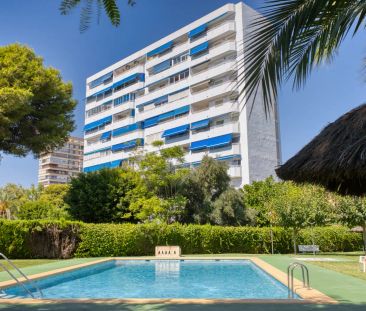 Alicante / Alacant - Photo 4