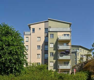 Bergfotensvängen 3 - Photo 5