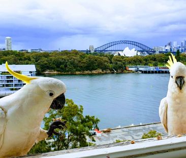 Potts Point - Photo 1