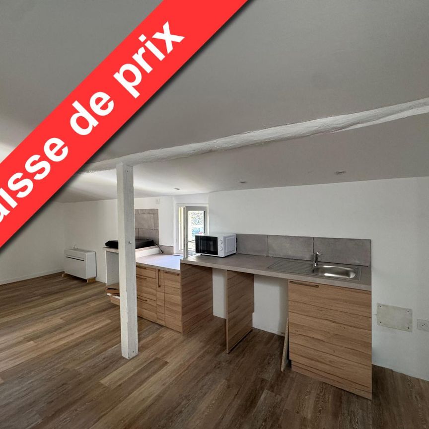 Location Appartement 3 pièces 47m² RIANS 83560 - Photo 1