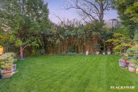 14 Gawler Crescent, Deakin ACT 2600 - House For Rent | Domain - Photo 4